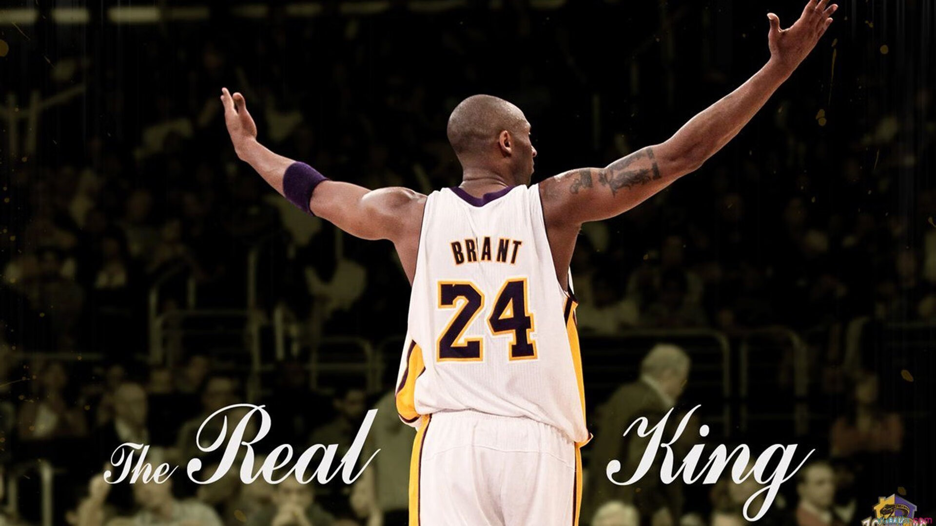 浓眉谈球员角色定位清晰提升配合效率，浓眉球队