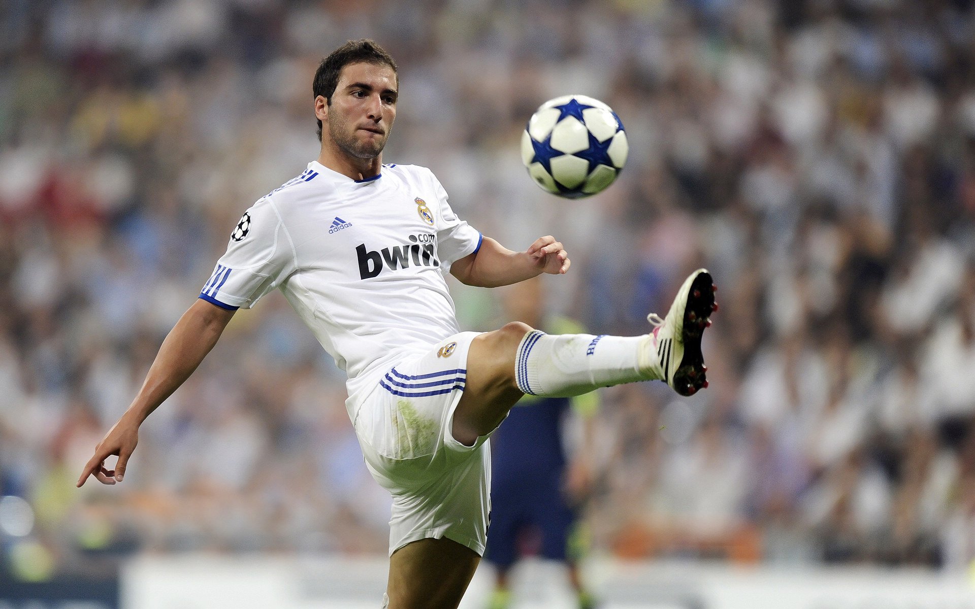 体育史最伟大冠军，世界体育史上最伟大的人物